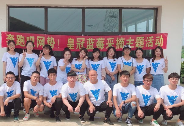 【奔跑吧網(wǎng)勢！】藍莓采摘主題團建活動